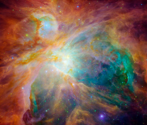 Orion