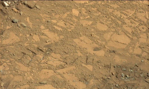 Bonanza King NASA